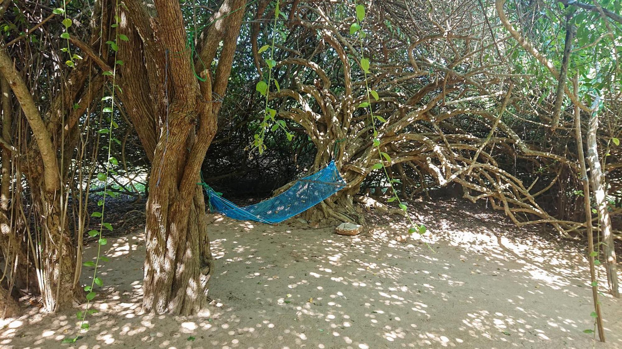 Yala Podi Hoona Bush Camp Hotel Exterior foto