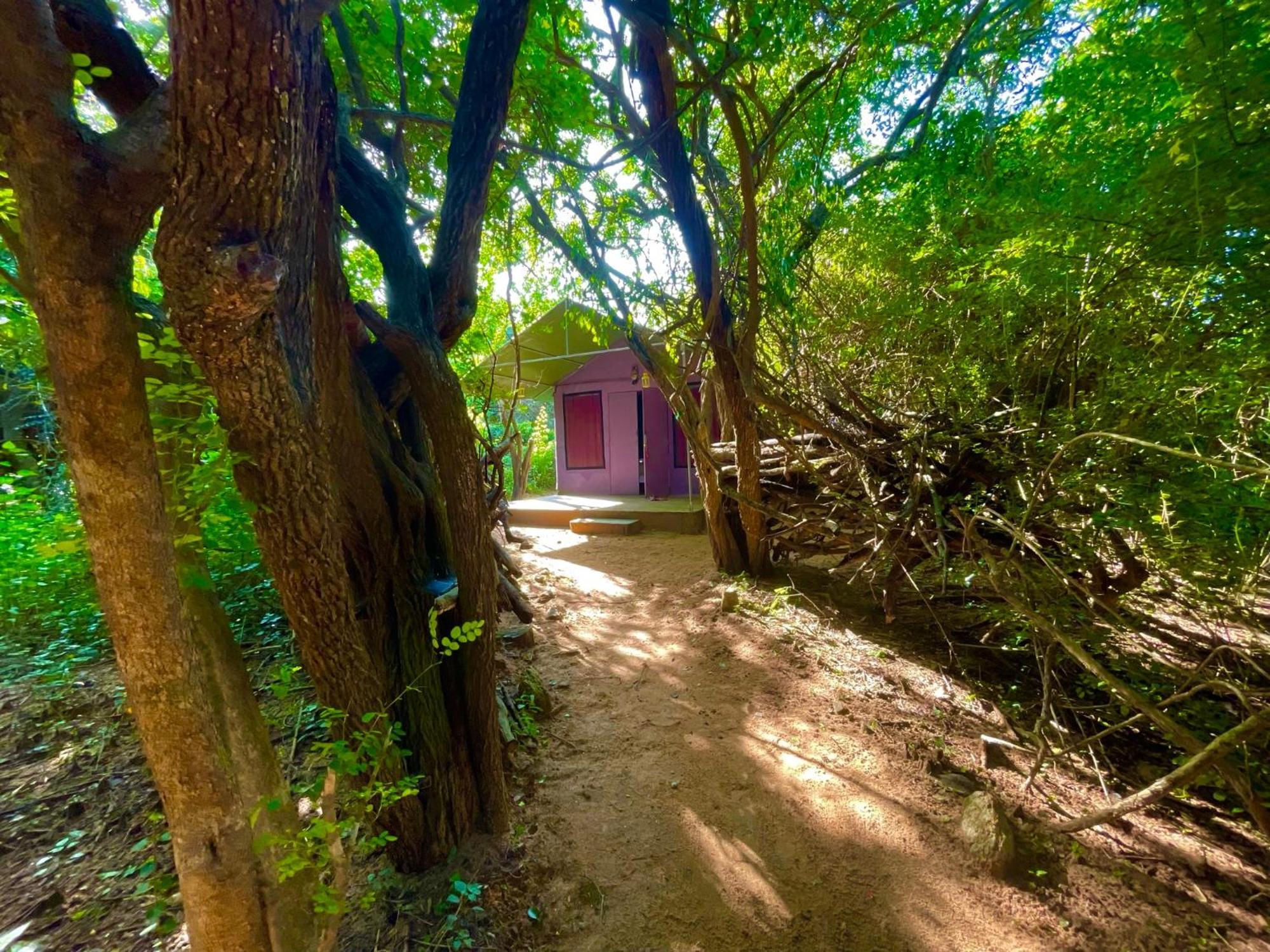 Yala Podi Hoona Bush Camp Hotel Exterior foto