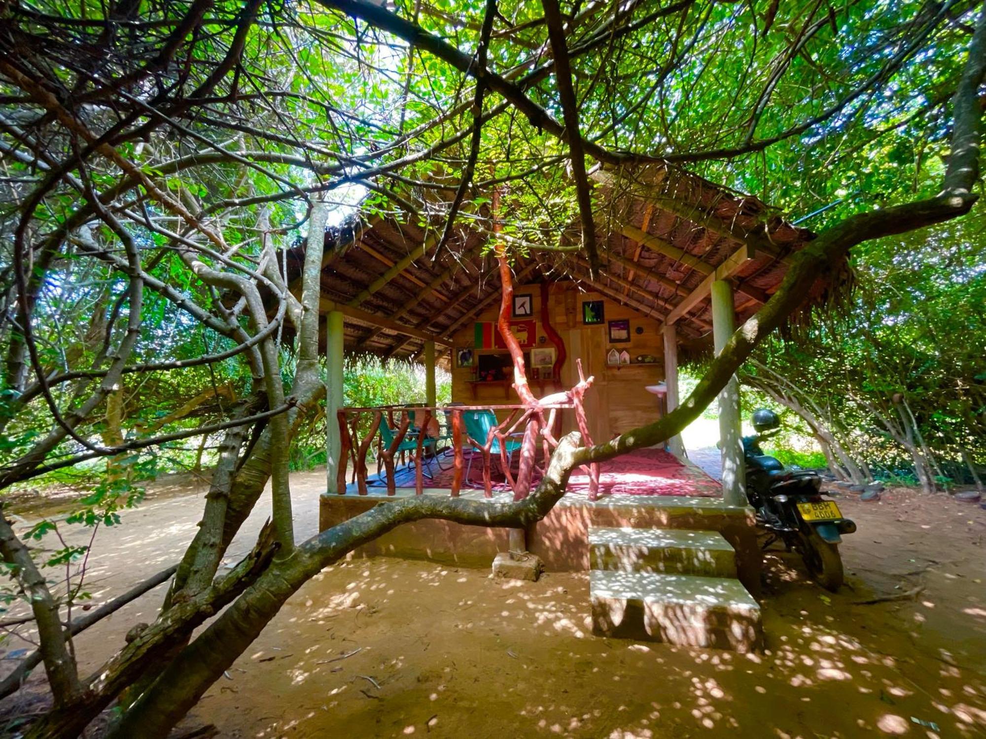 Yala Podi Hoona Bush Camp Hotel Exterior foto